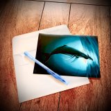 Wyland Fine Art Note Cards – set of 6