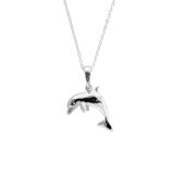 dolphin jewelry