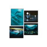 Wyland Fine Art Mini Prints – set of 4