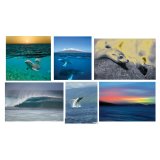 Wyland Nature Photography Note Cards – set of 6