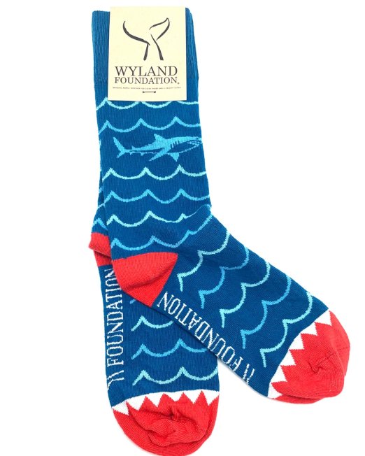 shark socks