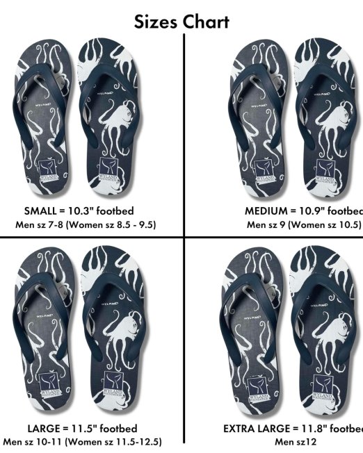 Updated FLIP FLOPS Sizes