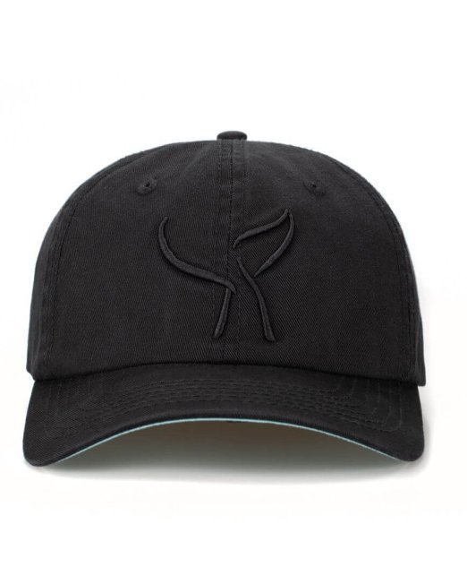 dad hat with embroidery