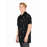 palm tree shirt