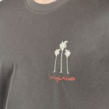 Wyland’s Signature Organic 3 Palm Trees T-Shirt – Coal