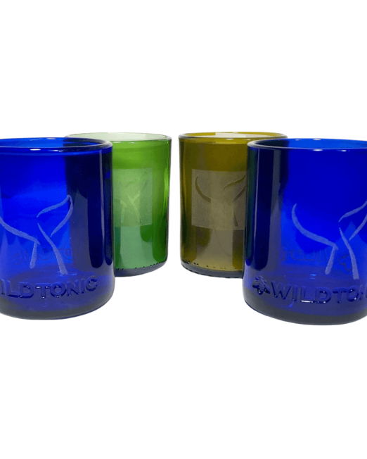 recycled bottle glasses