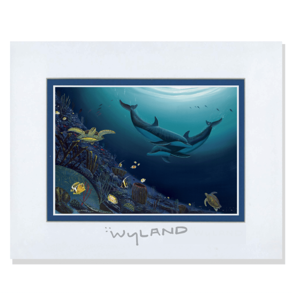 Wyland Art Dolphins