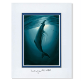 Wyland Art Whales