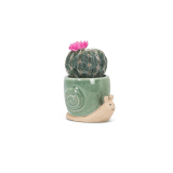 Comical Mini Pottery Snail Planter with Glazed Green Shell